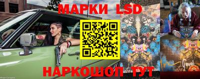 индика Рыбинск