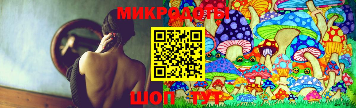 Сибай  Галлюциногенные грибы Psilocybe  Вход с VPN 