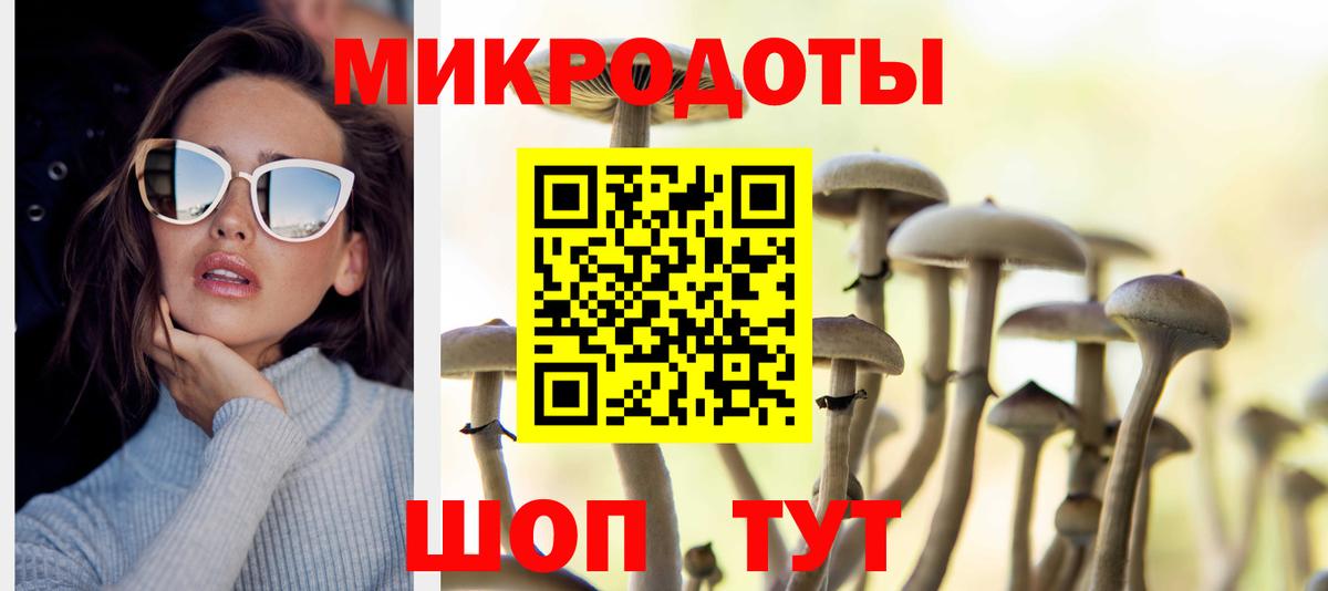 Псилоцибиновые грибы Cubensis Сибай